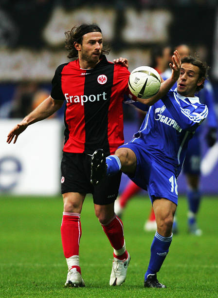 凸显了他的 凸显了他的